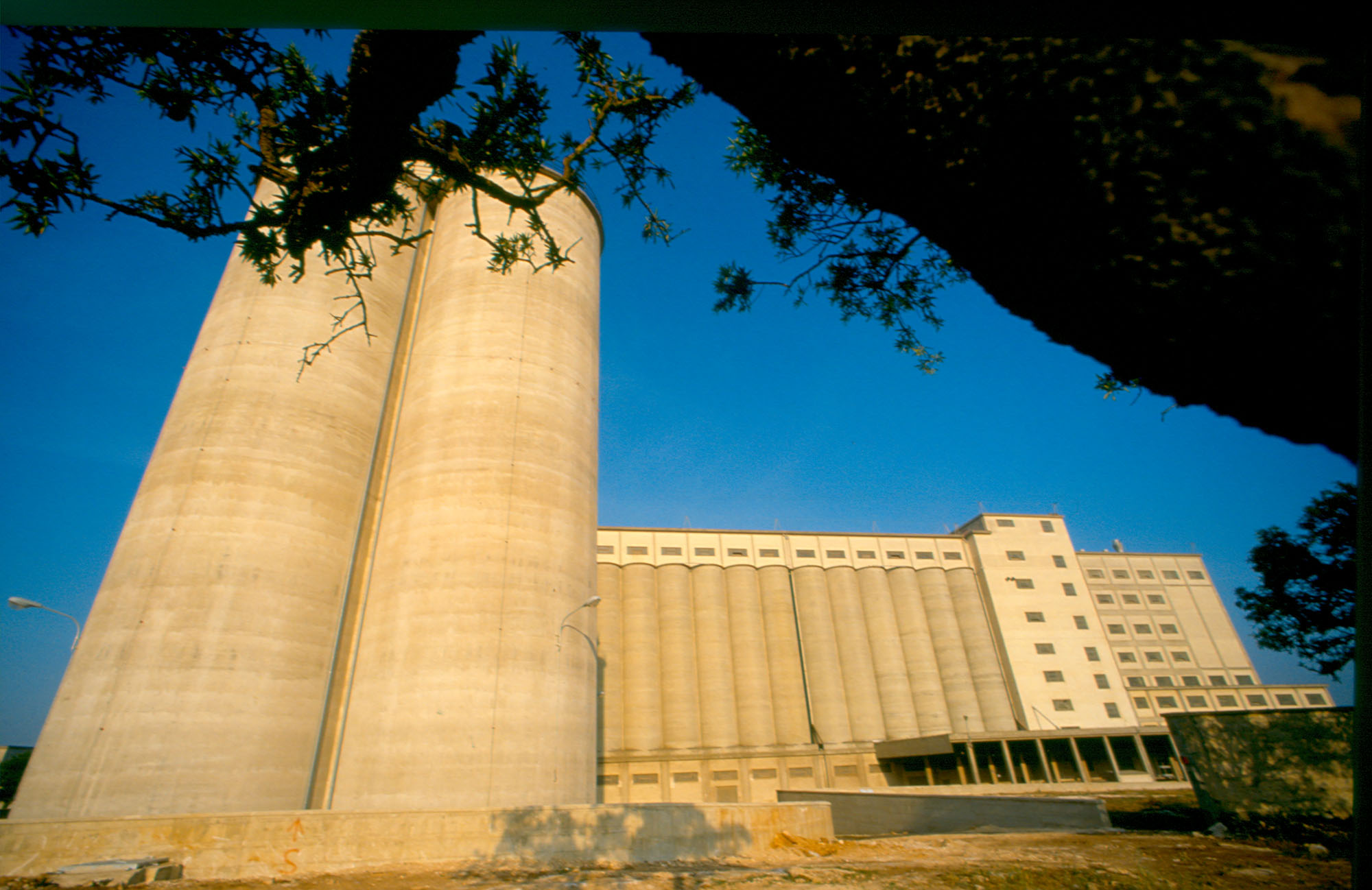 1974 - Il Mulino di Altamura viene acquisito dal gruppo Barilla