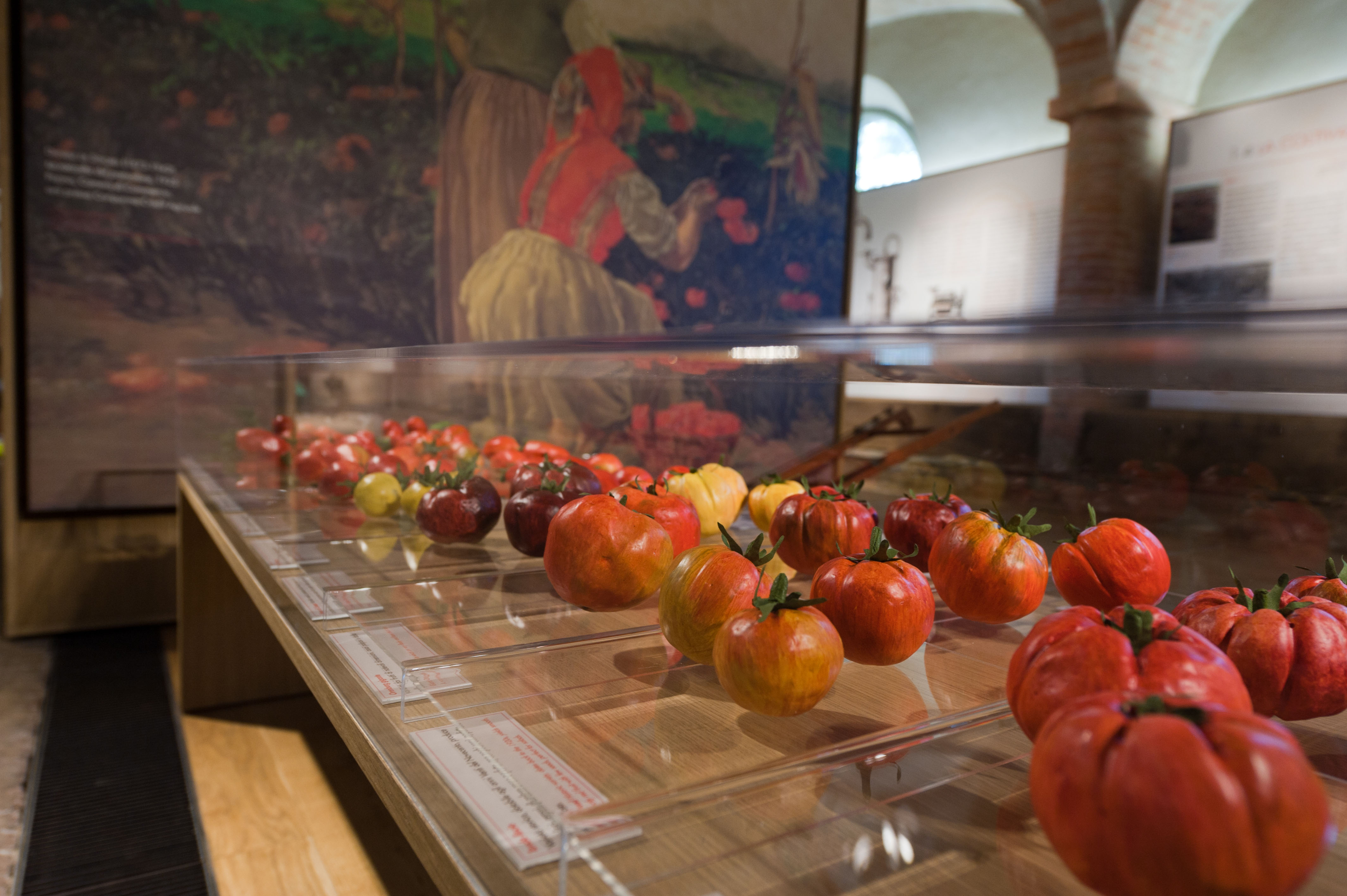 Tomato Museum in Collecchio (PR) interior n. 2 Picture by L. Rossi)